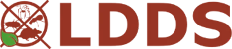 logo ldds